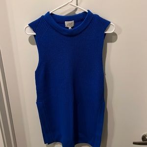Royal blue sweater from aritzia